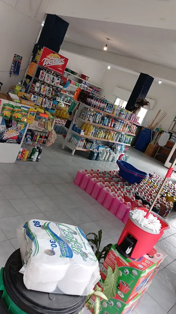 Interior de Todo Limpio — más de 800 productos en stock
